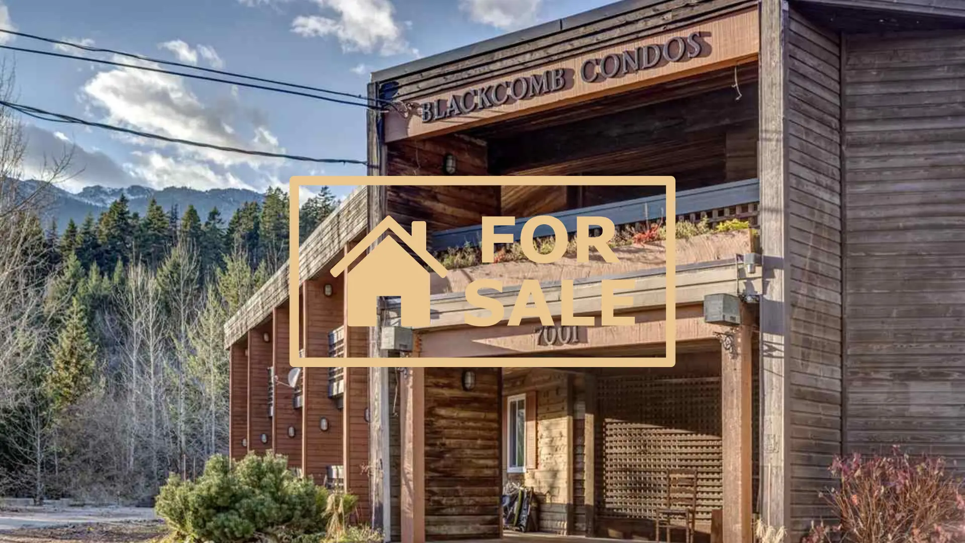 Whistler condos for sale